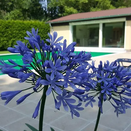 Apart Babelsberg Gæstehus Potsdam