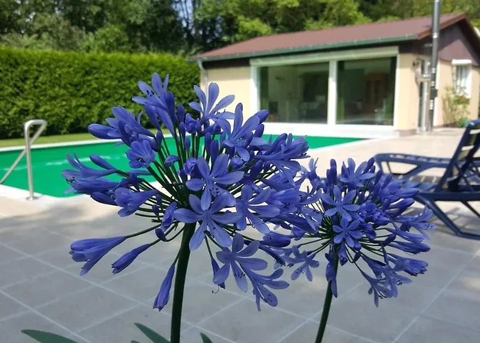 Apart Babelsberg Gæstehus Potsdam